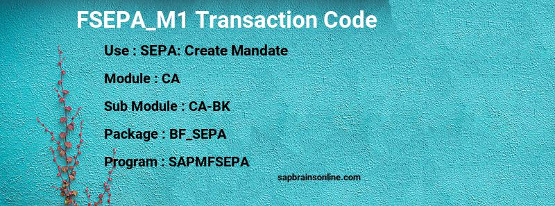 SAP FSEPA_M1 transaction code