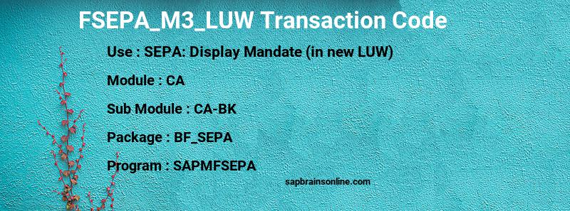 SAP FSEPA_M3_LUW transaction code