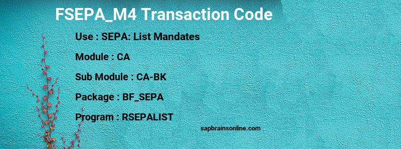 SAP FSEPA_M4 transaction code
