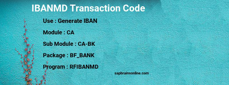 SAP IBANMD transaction code
