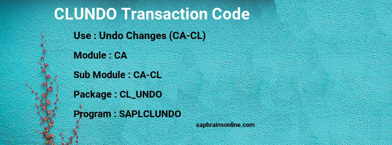 SAP CLUNDO transaction code