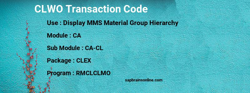 SAP CLWO transaction code
