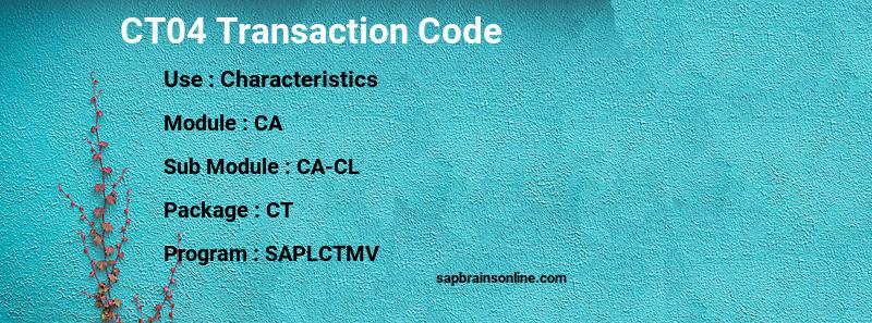 SAP CT04 transaction code