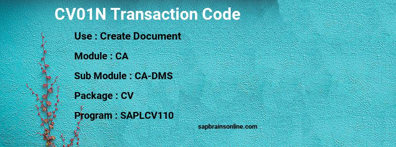 SAP CV01N transaction code