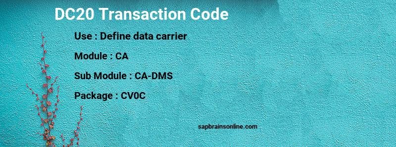 SAP DC20 transaction code