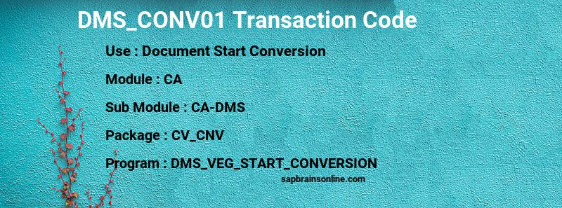 SAP DMS_CONV01 transaction code