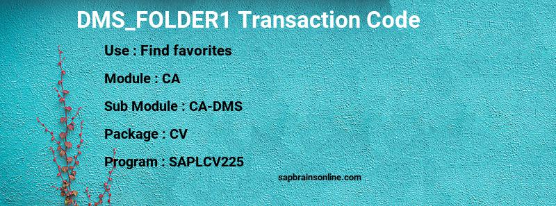 SAP DMS_FOLDER1 transaction code