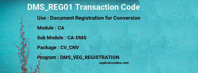 SAP DMS_REG01 transaction code