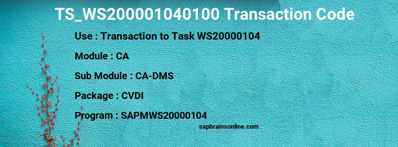 SAP TS_WS200001040100 transaction code