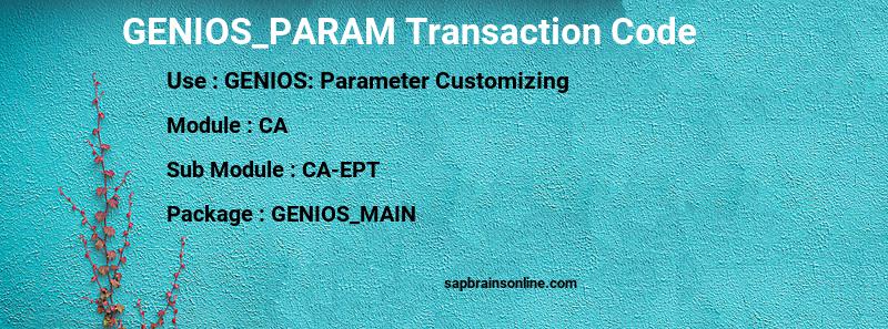 SAP GENIOS_PARAM transaction code