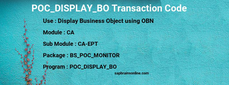 SAP POC_DISPLAY_BO transaction code