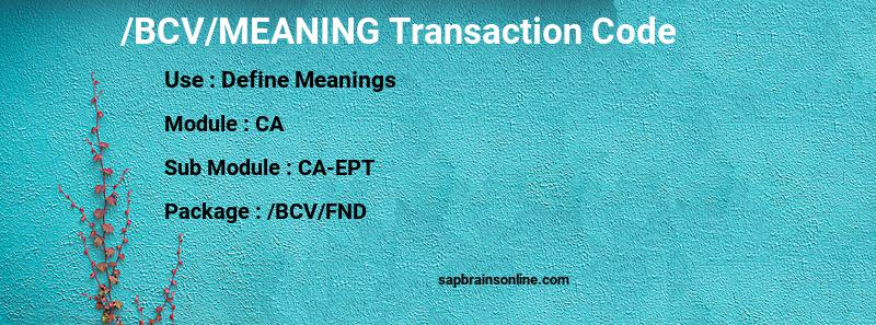 SAP /BCV/MEANING transaction code