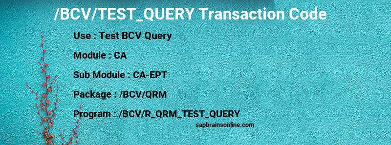 SAP /BCV/TEST_QUERY transaction code