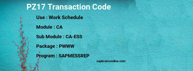 SAP PZ17 transaction code