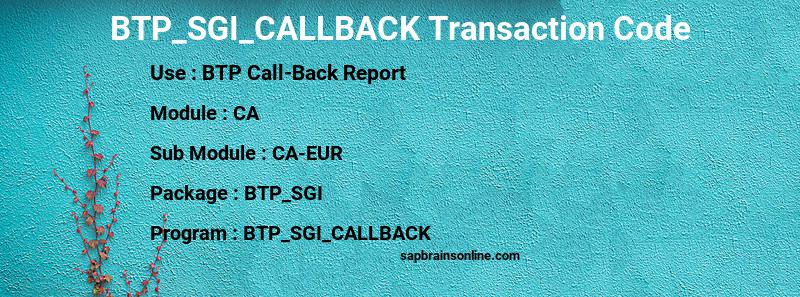 SAP BTP_SGI_CALLBACK transaction code