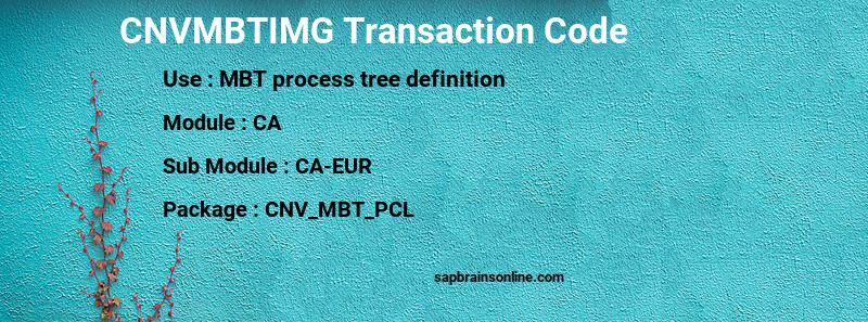 SAP CNVMBTIMG transaction code