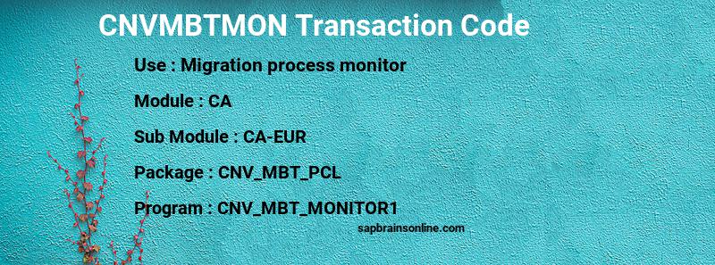 SAP CNVMBTMON transaction code