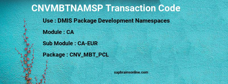 SAP CNVMBTNAMSP transaction code