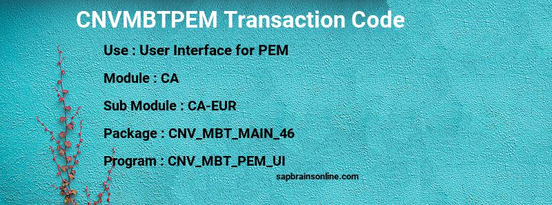 SAP CNVMBTPEM transaction code