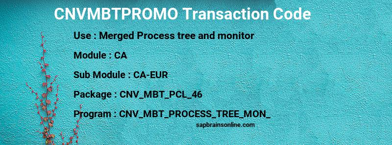 SAP CNVMBTPROMO transaction code