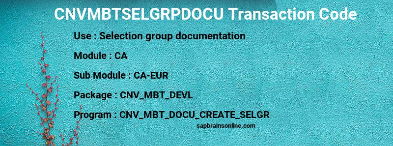 SAP CNVMBTSELGRPDOCU transaction code