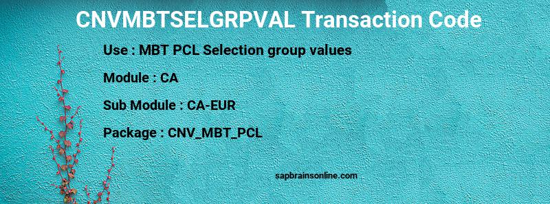 SAP CNVMBTSELGRPVAL transaction code