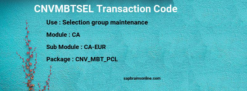 SAP CNVMBTSEL transaction code