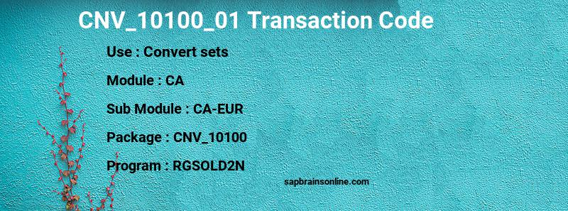SAP CNV_10100_01 transaction code