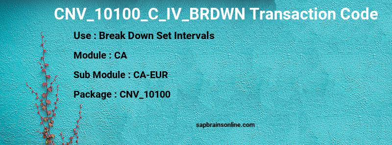 SAP CNV_10100_C_IV_BRDWN transaction code