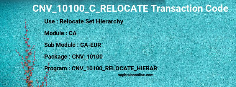 SAP CNV_10100_C_RELOCATE transaction code
