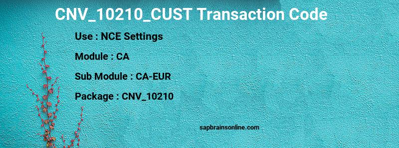 SAP CNV_10210_CUST transaction code
