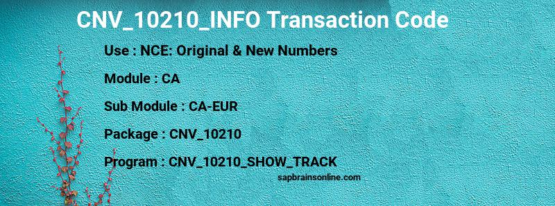SAP CNV_10210_INFO transaction code