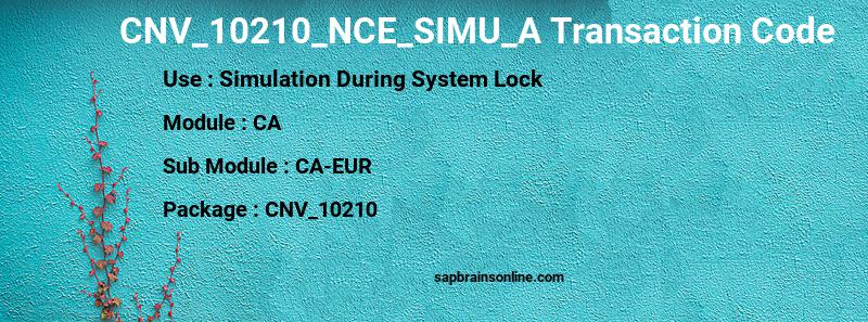 SAP CNV_10210_NCE_SIMU_A transaction code