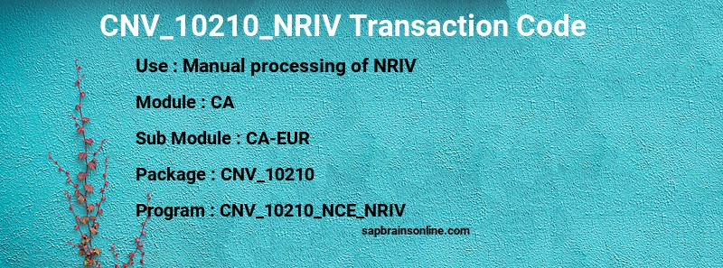 SAP CNV_10210_NRIV transaction code