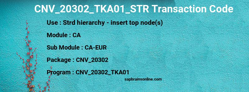 SAP CNV_20302_TKA01_STR transaction code