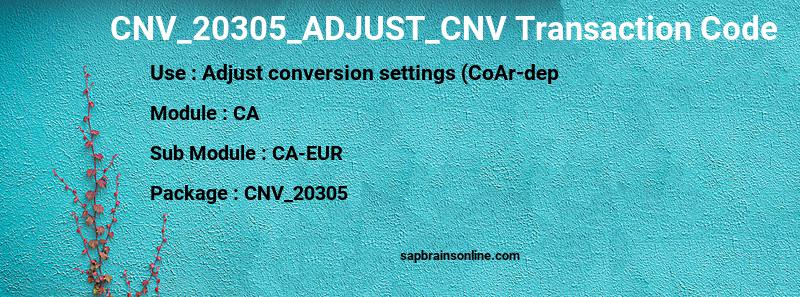 SAP CNV_20305_ADJUST_CNV transaction code