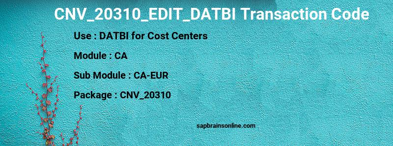 SAP CNV_20310_EDIT_DATBI transaction code