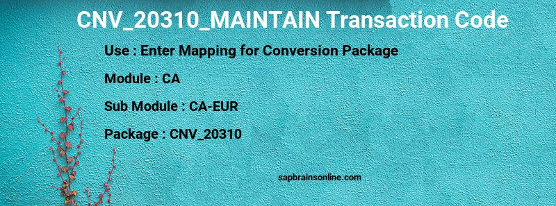 SAP CNV_20310_MAINTAIN transaction code