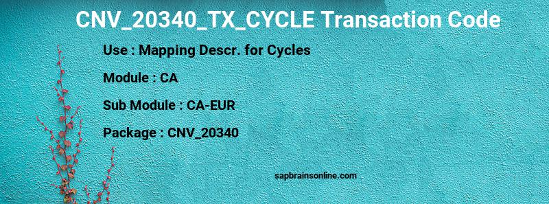 SAP CNV_20340_TX_CYCLE transaction code