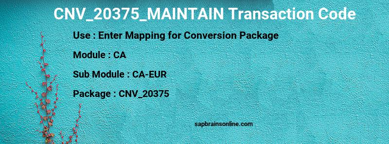 SAP CNV_20375_MAINTAIN transaction code