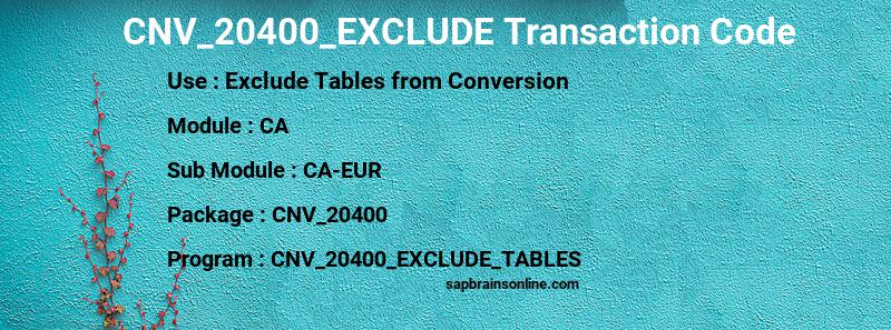 SAP CNV_20400_EXCLUDE transaction code