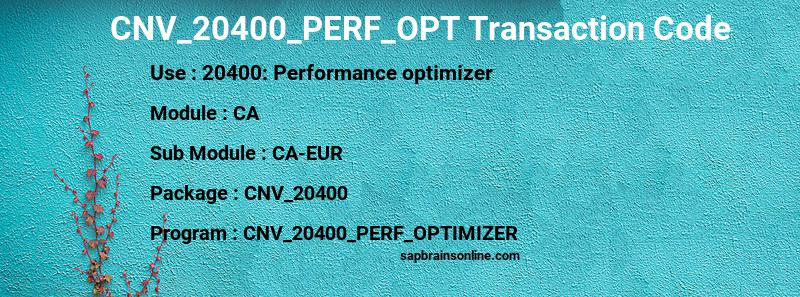 SAP CNV_20400_PERF_OPT transaction code