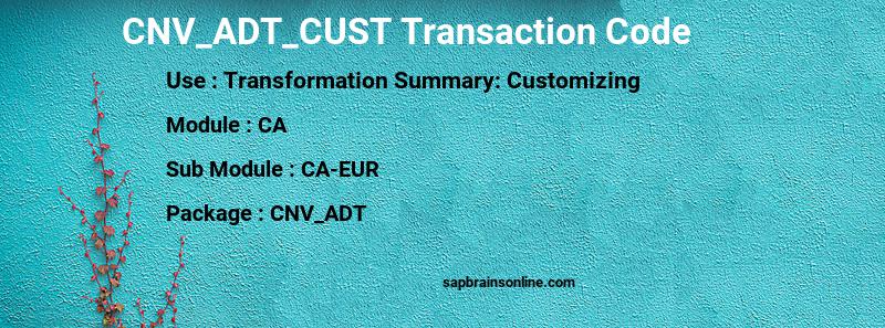 SAP CNV_ADT_CUST transaction code
