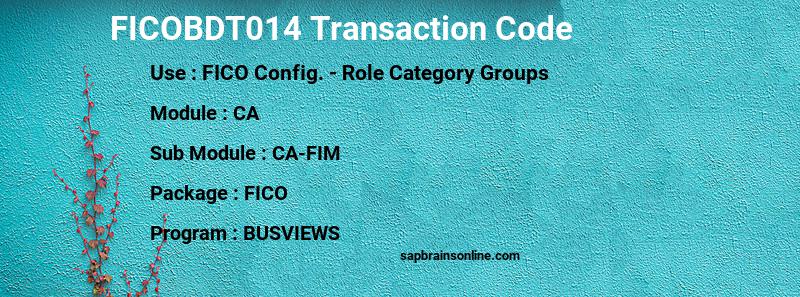 SAP FICOBDT014 transaction code