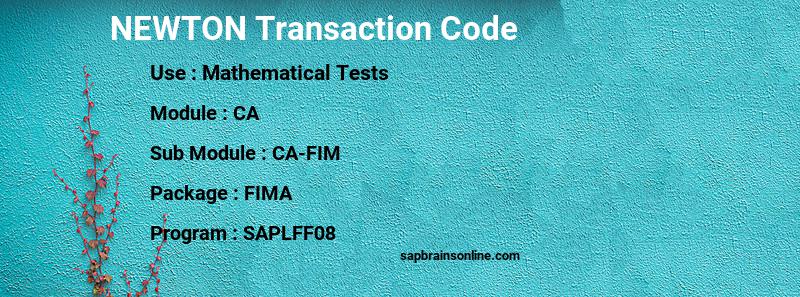 SAP NEWTON transaction code