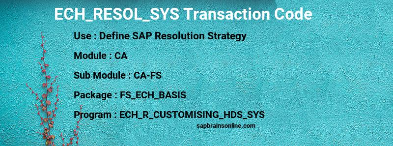 SAP ECH_RESOL_SYS transaction code