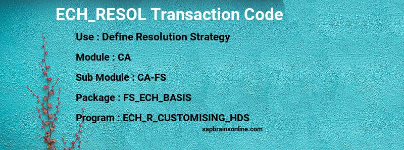 SAP ECH_RESOL transaction code