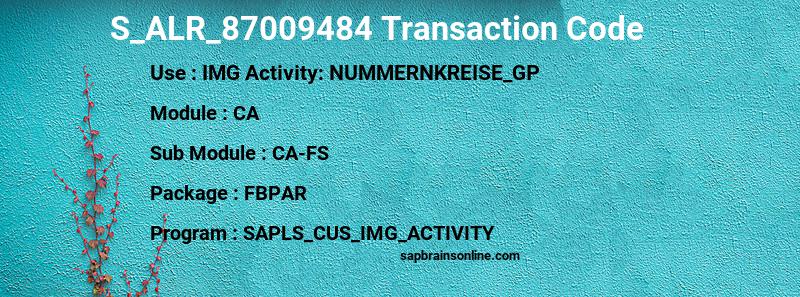 SAP S_ALR_87009484 transaction code