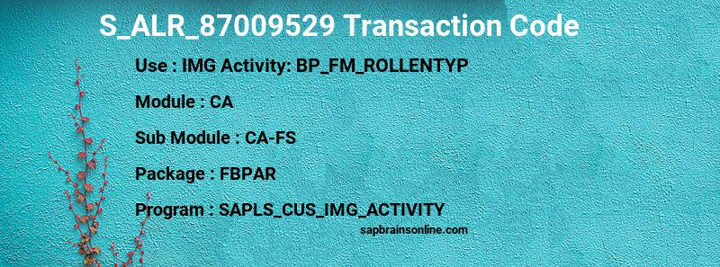 SAP S_ALR_87009529 transaction code