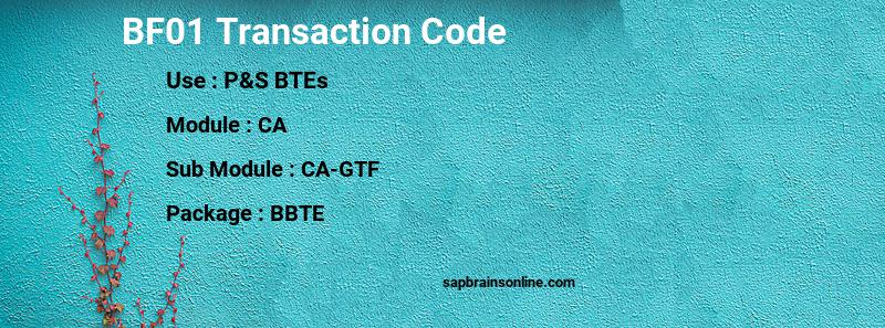 SAP BF01 transaction code